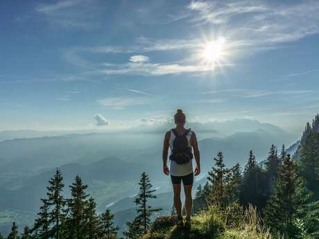 Nature Hike - Discovering flora and fauna with a naturalist guide