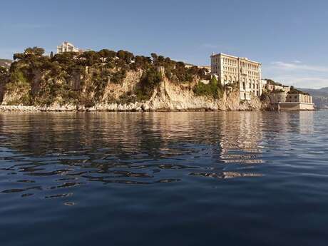 Discover the animals of the seaside at the Oceanographic Museum - Monaco
