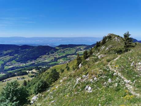 Randonnée "Les crêtes d'Hirmentaz depuis le Darandet"