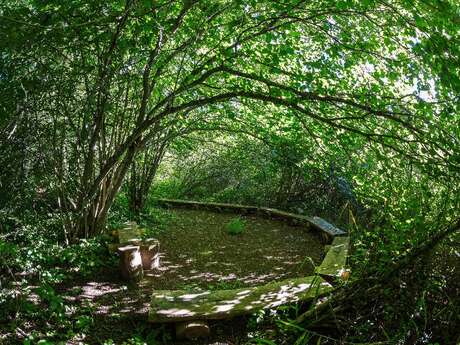 Arbres et herbes folles