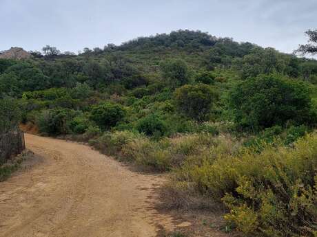 Randonnée dans l'arrière pays hyèrois
