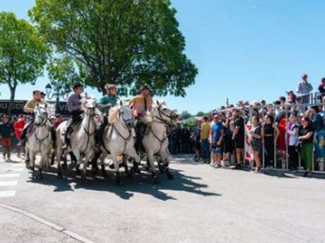 Féria d'Alès - Festival d’abrivado