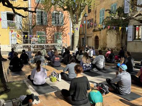 Cours de yoga Alexandra Videloup