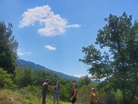 Balade dans les vignes - Cave du Gravillas