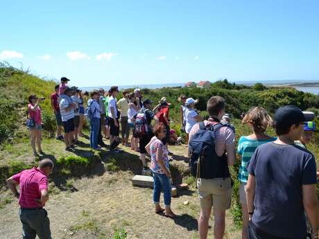 Visite : Le fort de l'Île Madame entre nature et histoire