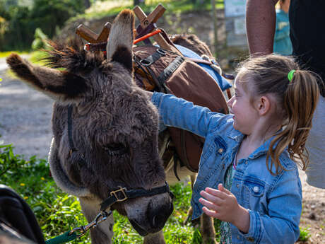 Balade en compagnie  des petits ânes : Autour de Saint Gabriel