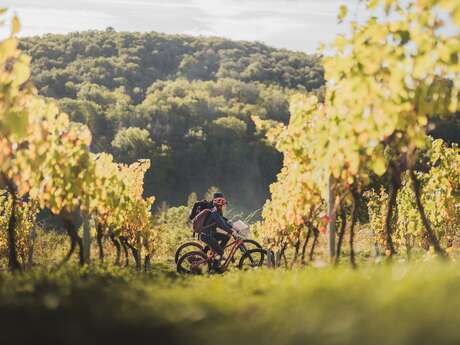 MTB route no. 20 (blue) Passerelle des Vendangeurs - Journans la Sce