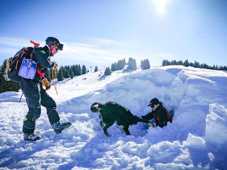 Découverte du secours en montagne avec un chien d'avalanche