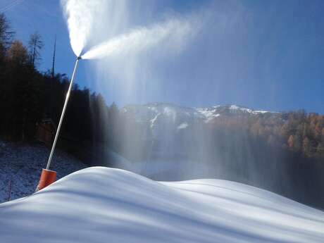 Visita alla fabbrica della neve