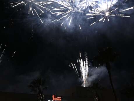 Feu d'artifice du Nouvel An