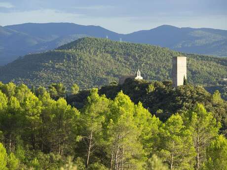 Miellerie Vassal Teisseire