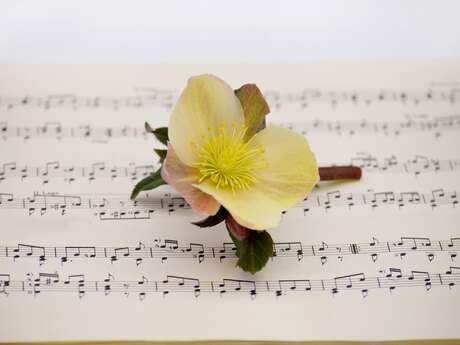 Chorale Atout C"h"oeur - Concert