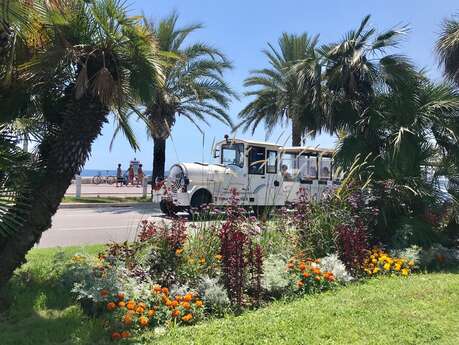 Le Train touristique de Nice