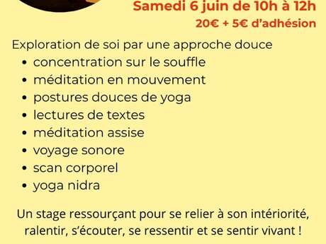 Stage YOGA * ÉVEIL SENSORIEL
