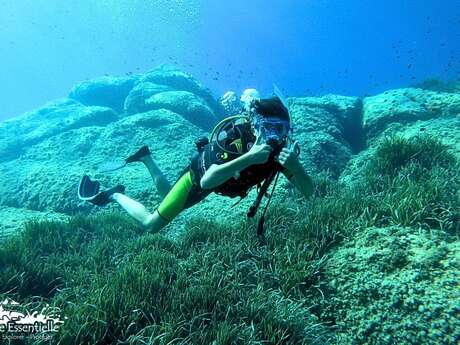Baptême de plongée – Découvrez les sensations uniques sous l’eau