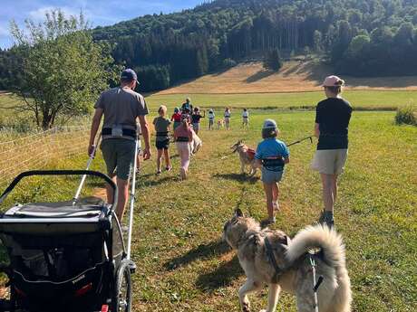 Nordic dog activities on le plateau des Moises