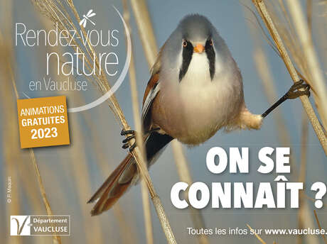 Rendez-vous Nature : Plantes sauvages