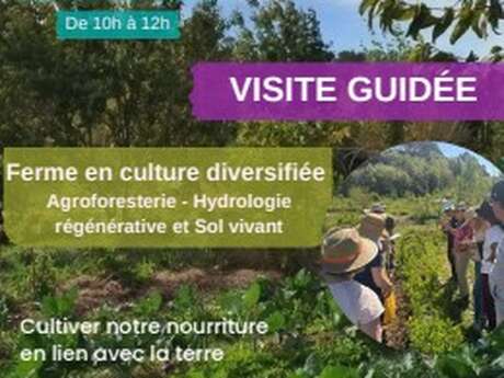Visite guidée : Le jardin-forêt des étangs