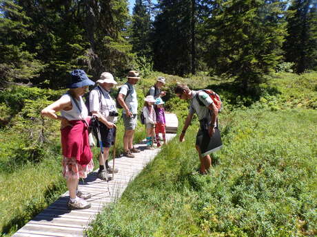 Visite guidée du sentier flore et milieux naturels avec la Réserve Naturelle Régionale