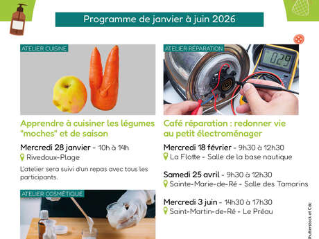 Ateliers de découverte des pollinisateurs