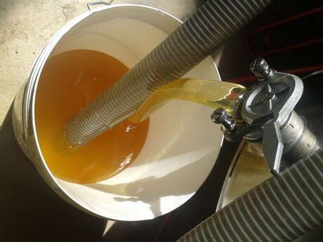 Miellerie des Clos - Labbé Fabrice