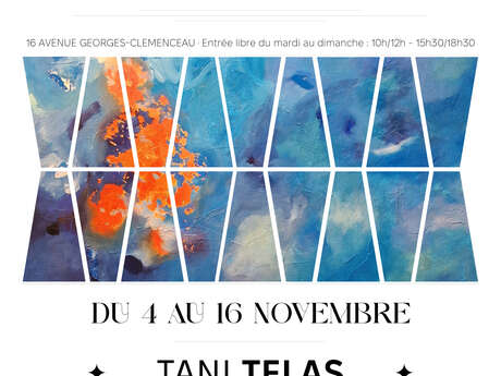 Exposition : Tani TELAS