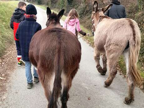 Sortie avec les ânes - programme d'animations avec Domaine des Adrès