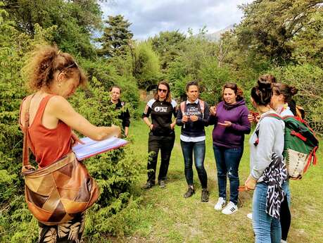 Atelier Plantes : 1 sortie (rencontre avec les plantes) & 1 fabrication (baume ou huile de soin)