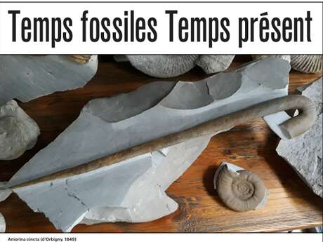 Temps fossiles Temps présent - Exposition