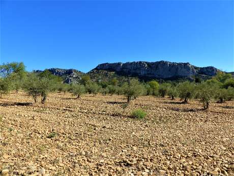 EYGUIERES - Vallon des Glauges