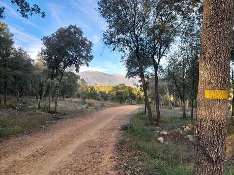Le Darbousson - Roquefort-les-Pins