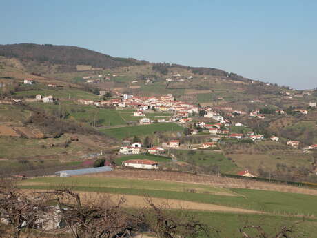 Visite guidée - Saint-Romain-en-Jarez, plein sud sur les vergers