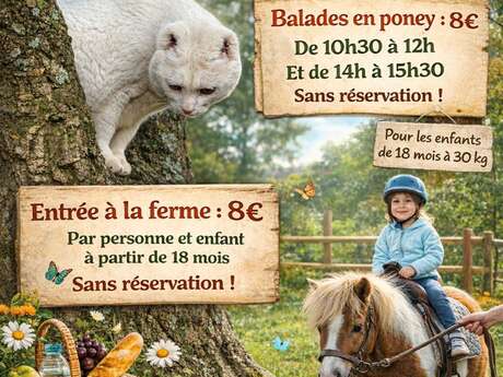 La Ferme Pédagogique d'Idéfix
