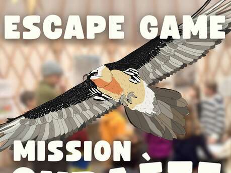 Escape Game gypaète.