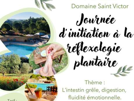 Journée d'initiation à la réflexologie plantaire au Domaine Saint Victor à La Tour d' Aigues