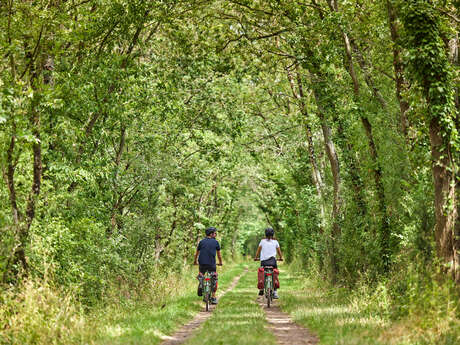 L'Authion à vélo