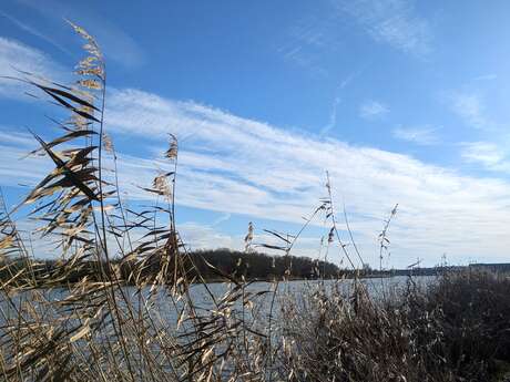 Treffen mit Blandine Giambiasi : Kartografie-Workshop
