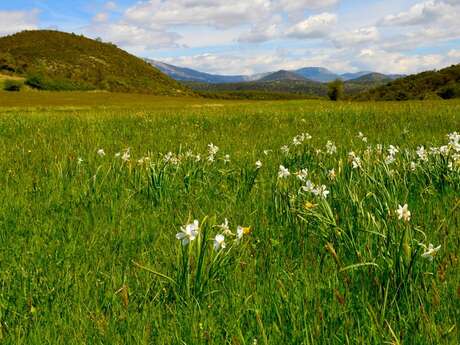 LE BOURGUET - Bagarry
