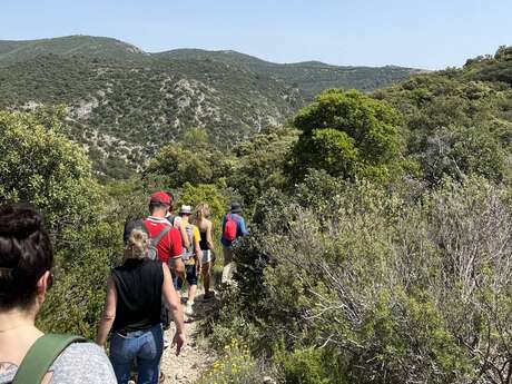 LAURIS - Portalas et biodiversité en chemin
