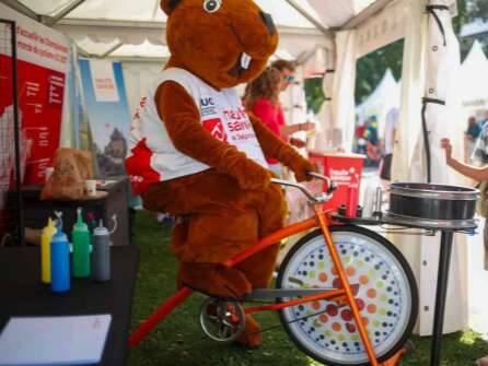 Vélo Spin'Art