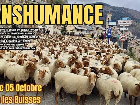 Transhumance de Roubion
