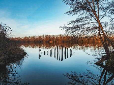 Gravière aux Oiseaux - Balade commentée