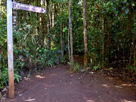 Sentier des Cagous