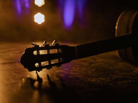 Concert - NiMa - Chant & Guitare