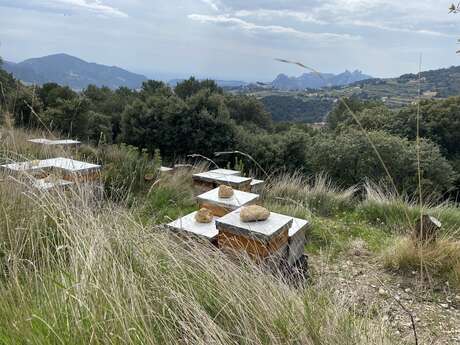 Le Rucher des Dent'Ailes