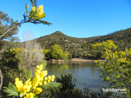 Randonnée : Tour des Lacs des Peguières