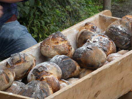 Les petits secrets du pain avant sa mise au four