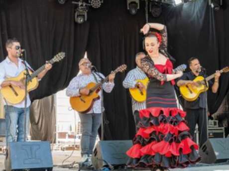 Féria d'Alès - Concerts du Podium