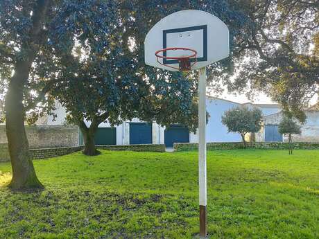 Canasta de baloncesto