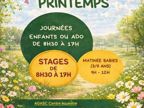 Praktikum Reitzentrum - Animationen Frühlingsferien